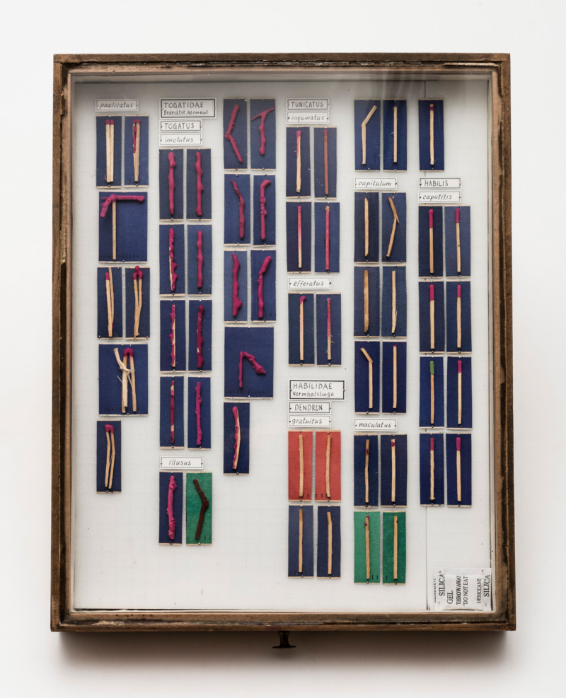 Insektensammelkasten mit Zündhölzern, Sammlung Peter Herbert